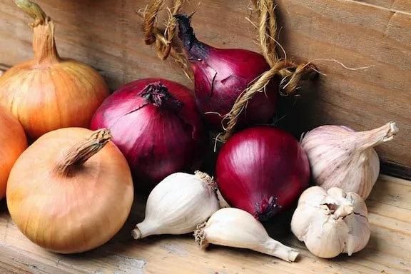 Onion-and-garlic
