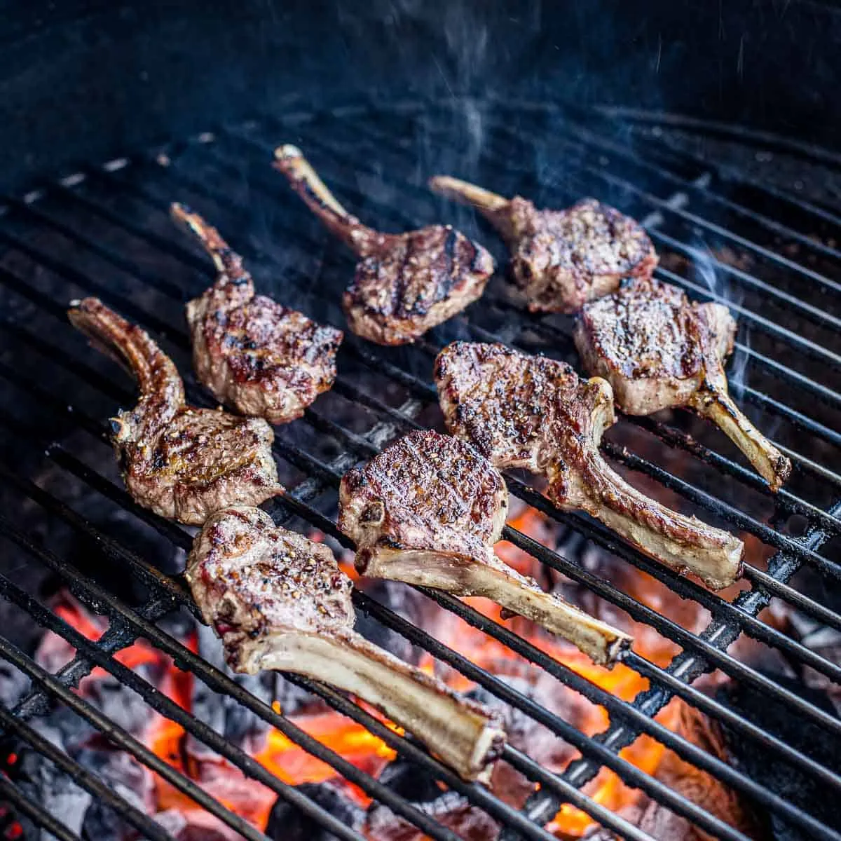 The Importance of Time and Temperature for  BBQ Lamb Chops Perfectly