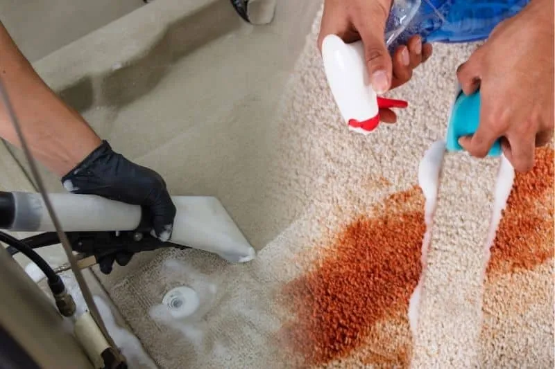 Expect from Professional Services to Remove BBQ Sauce Stains from Carpets