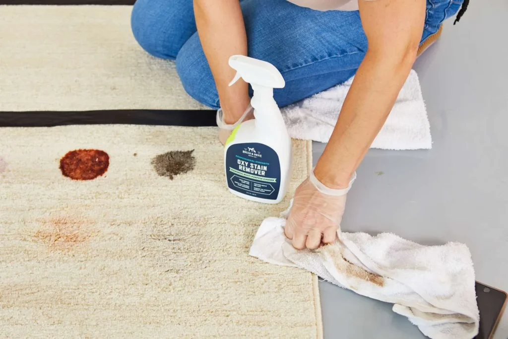 Expect from Professional Services to Remove BBQ Sauce Stains from Carpets