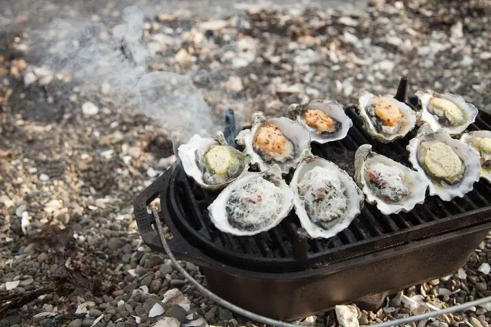 Step-by-Step Instructions for Grilling Oysters